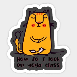 How do I look on yoga class funny yoga and cat drawing Sticker